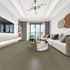 吉祥鹿QYS7010  吉祥鹿伴您走向成功路